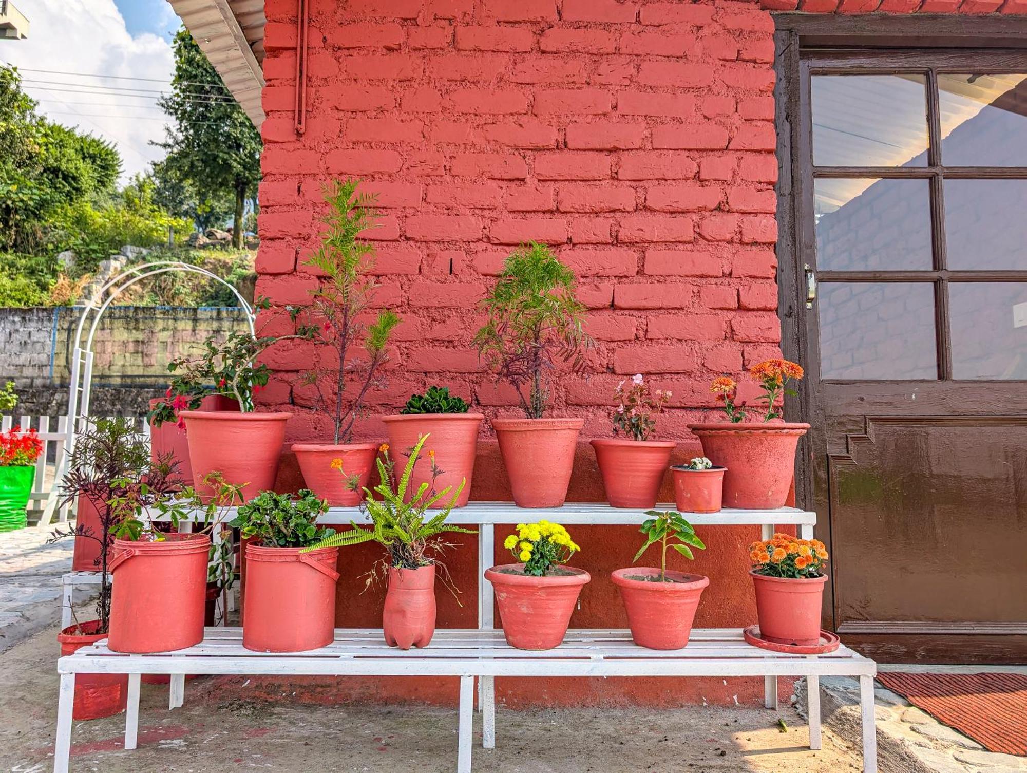 Hobo Hostel Dharamshala Bagian luar foto